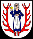 Tarot Biały Bór