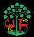 Tarot Braniewo