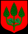 Tarot Chmielnik