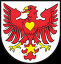 Tarot Drezdenko