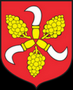 Tarot Głogówek