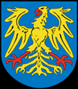 Tarot Leśnica