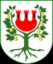 Tarot Międzychód