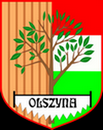 Tarot Olszyna