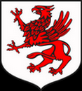Tarot Płoty