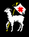 Tarot Sulęcin