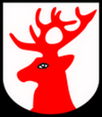 Tarot Ujście