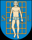 Tarot Wojnicz