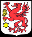 Tarot Wolin